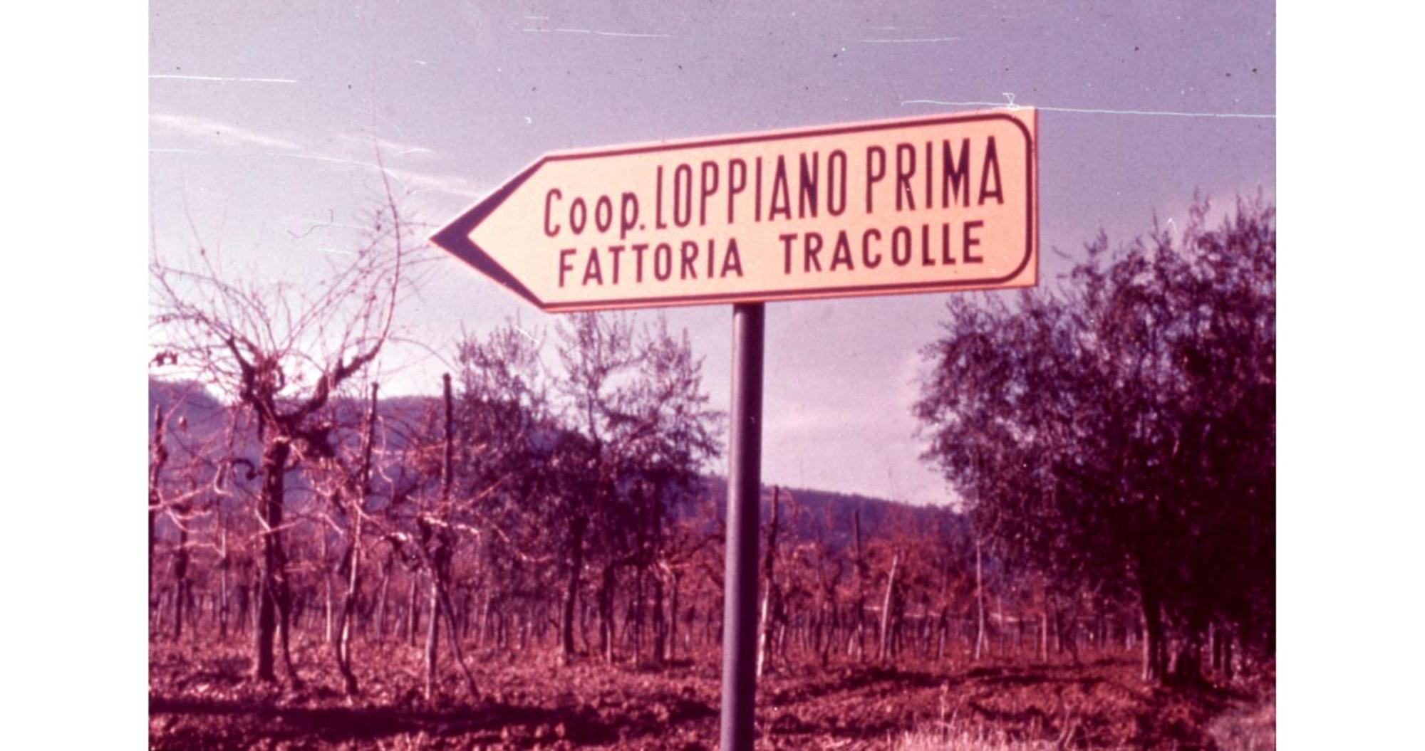 Agriturismo Fattoria Di Loppiano Regina Mundi Villa Vivajo Dış mekan fotoğraf