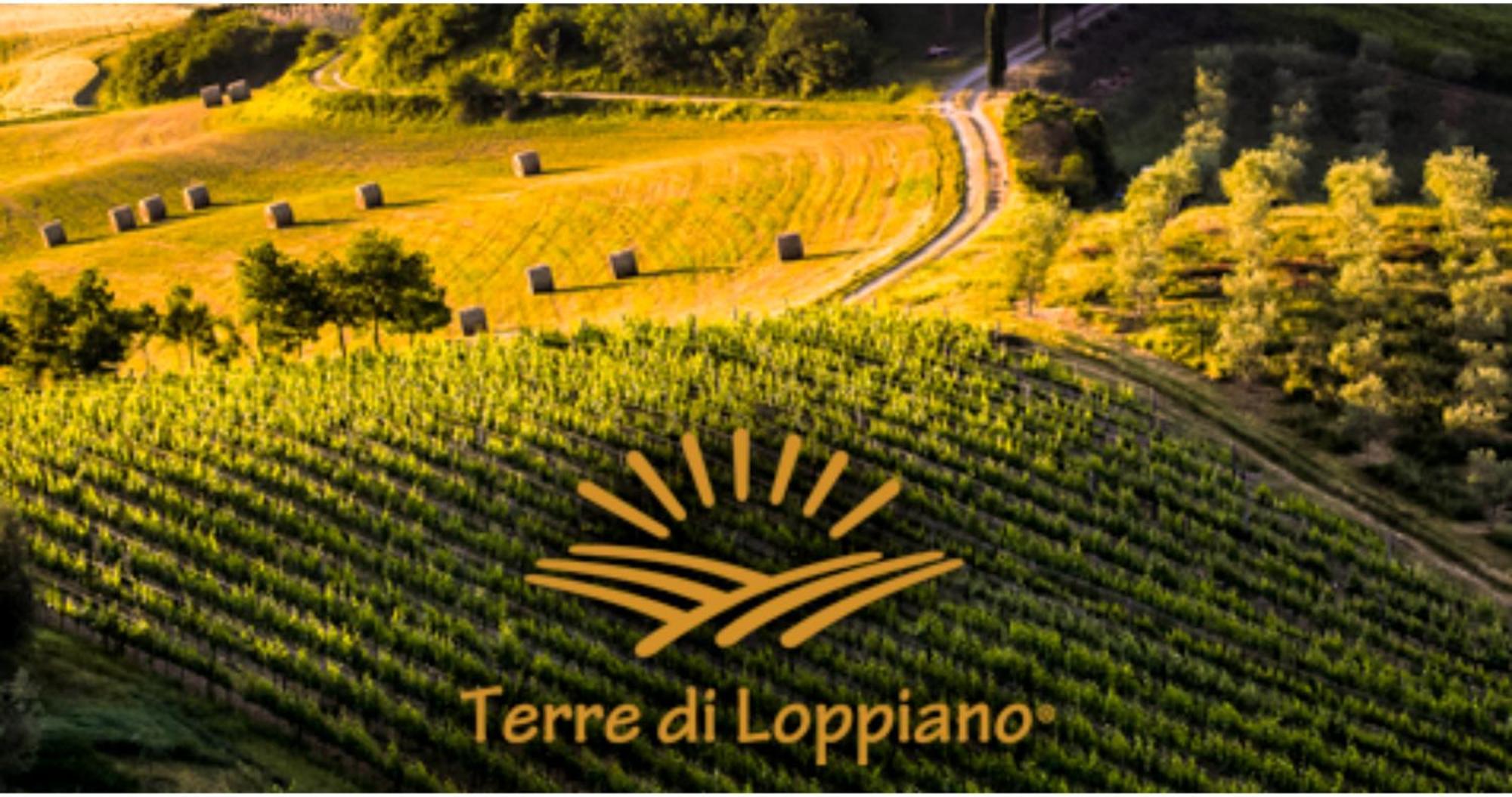 Agriturismo Fattoria Di Loppiano Regina Mundi Villa Vivajo Dış mekan fotoğraf
